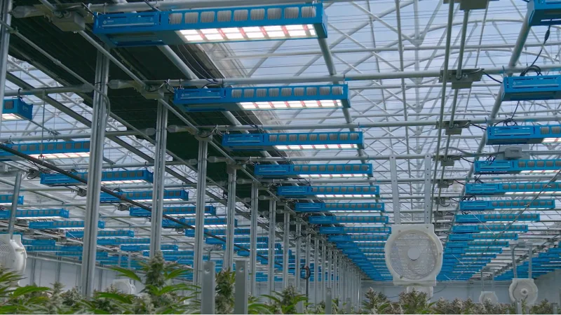 Flexible Driver Options