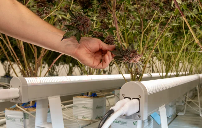 home-solutions-undercanopy