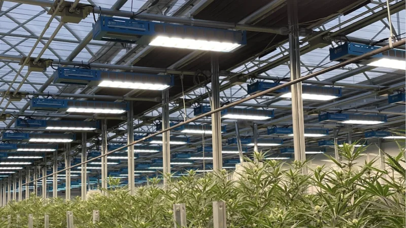 Power and Performance for Every Application