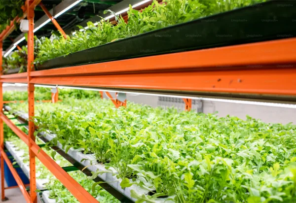 Thrive Agritech Delivers 1,900 LED Grow Lights to Michigan Indoor Grow Facility