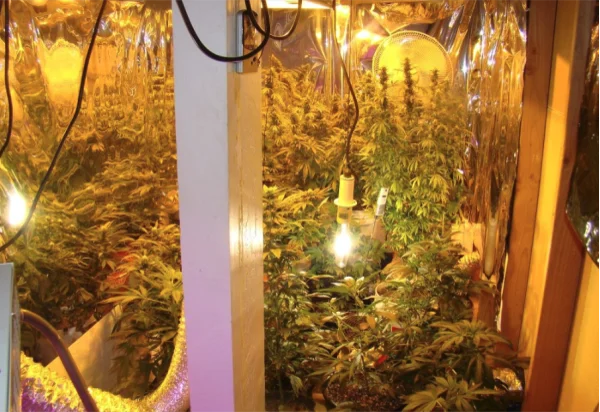 Under Canopy Lighting: The Experiment is Over