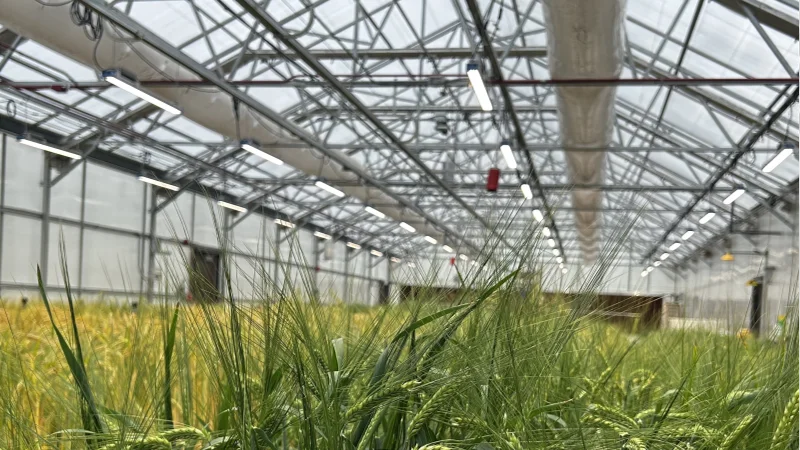 Engineered for Performance and Reliability