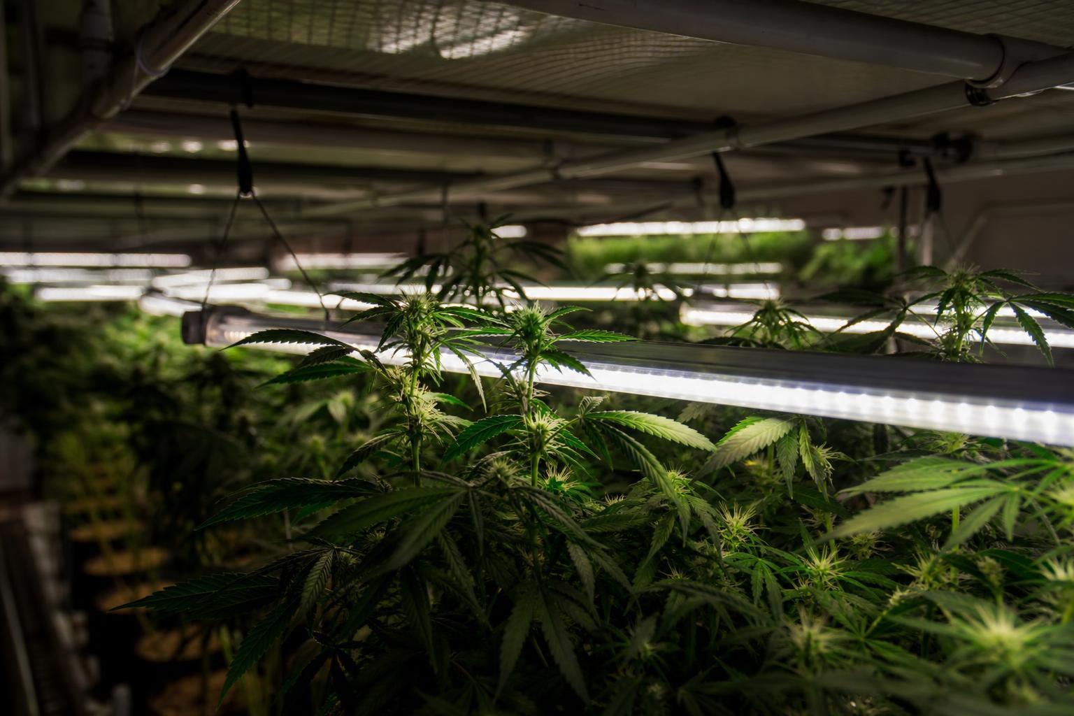 under-canopy lighting heat