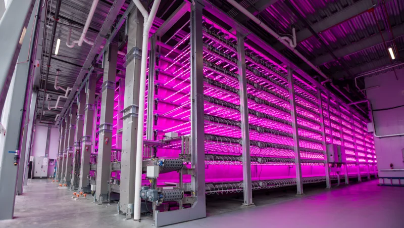 Engineered for Vertical Farming Excellence