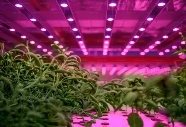 How is CO2 supplementation affected by converting to LED Lighting?