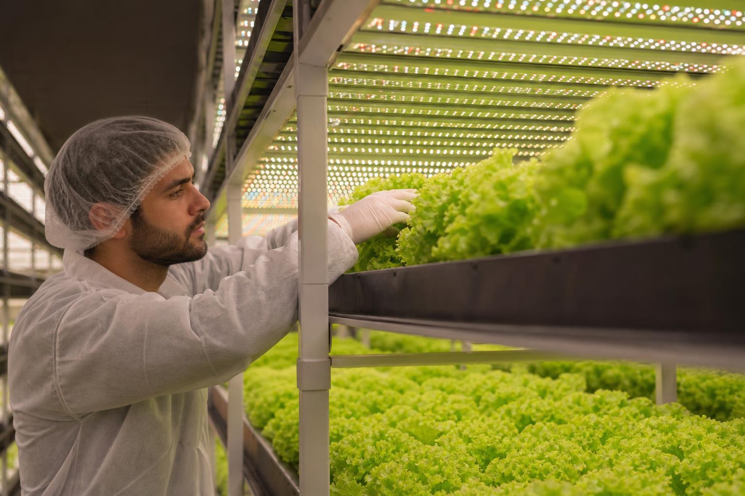 vertical farming LED lighting