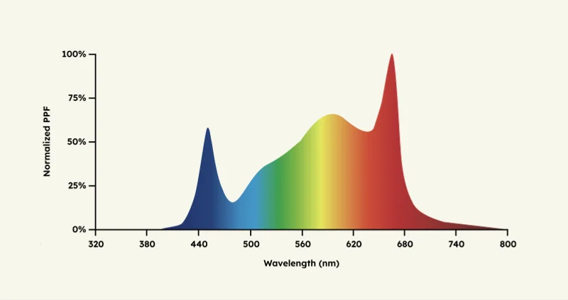 Engineered for Multi-Tier Performance