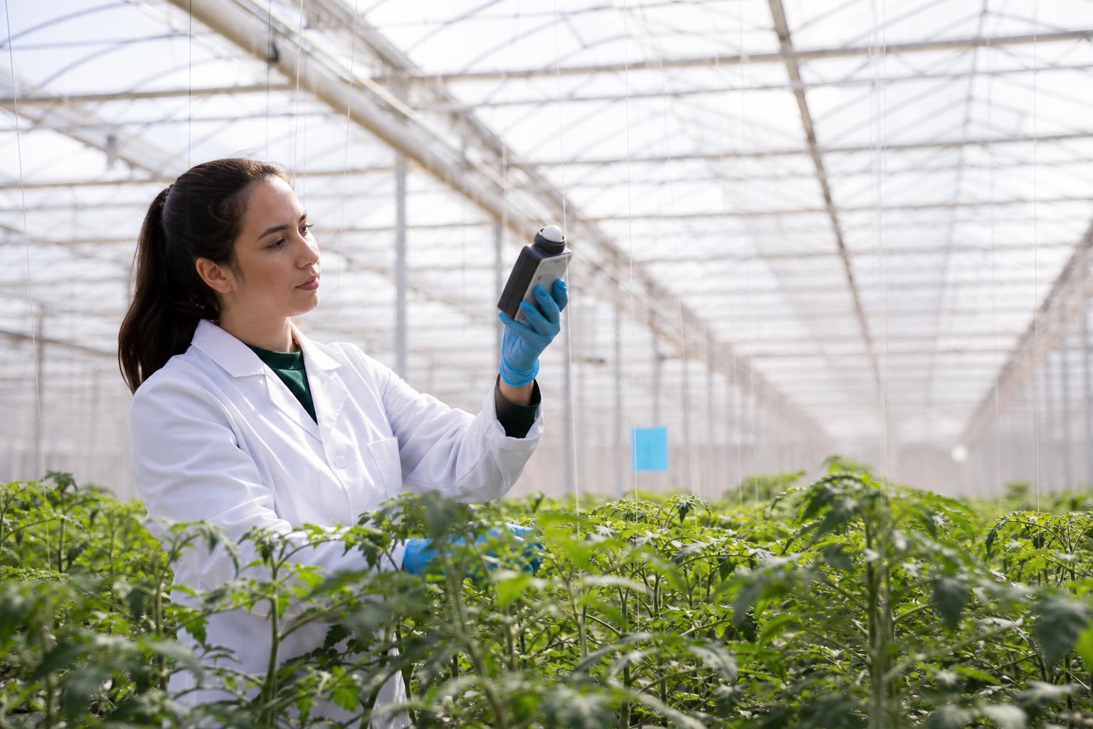 DLI greenhouse