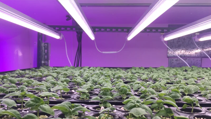 Easy, Flexible Installation