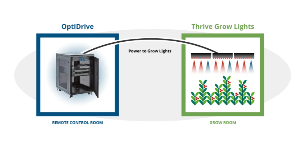 optidrive-grow-diagram