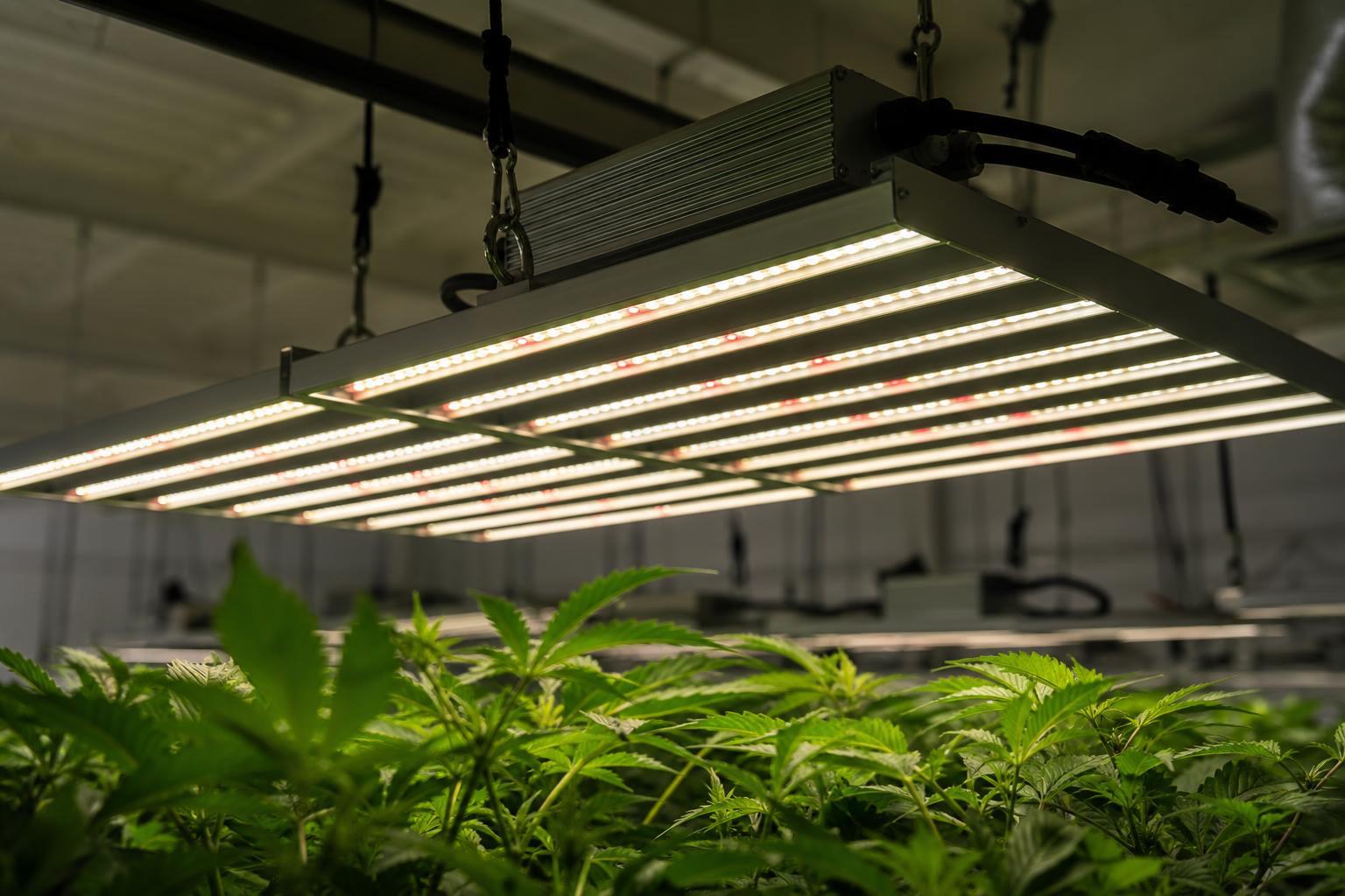 remote driver LED grow lights
