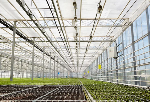 The Role of CO₂ in Controlled Environment Agriculture (CEA)