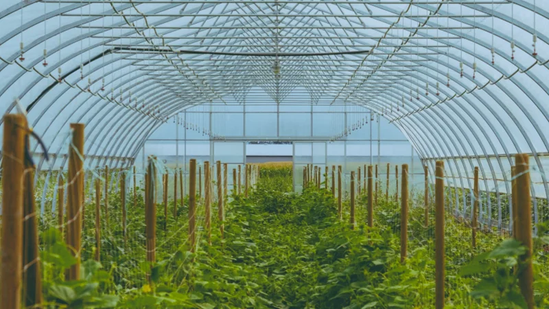 Greater Reliability and Uptime