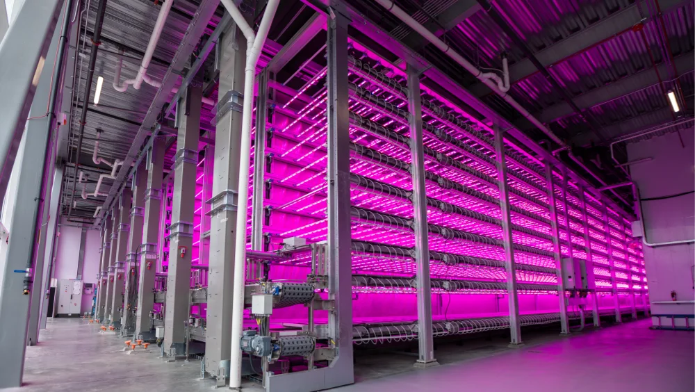 Design section image