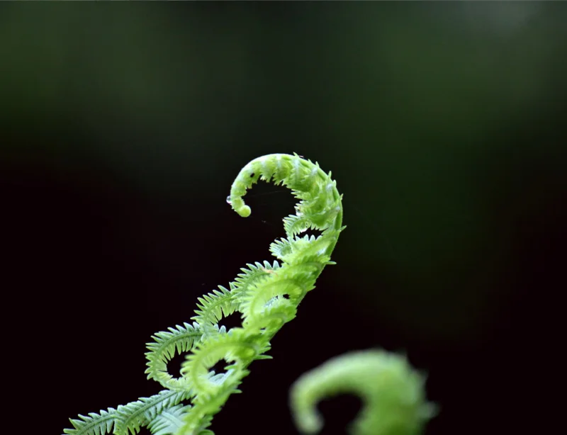 Featured content image