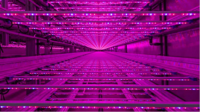 Outstanding Efficiency and Proven Reliability