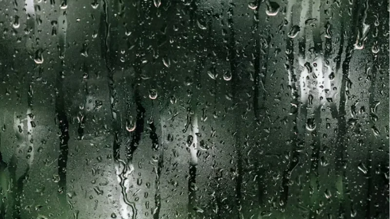 Built to Withstand Harsh Environments