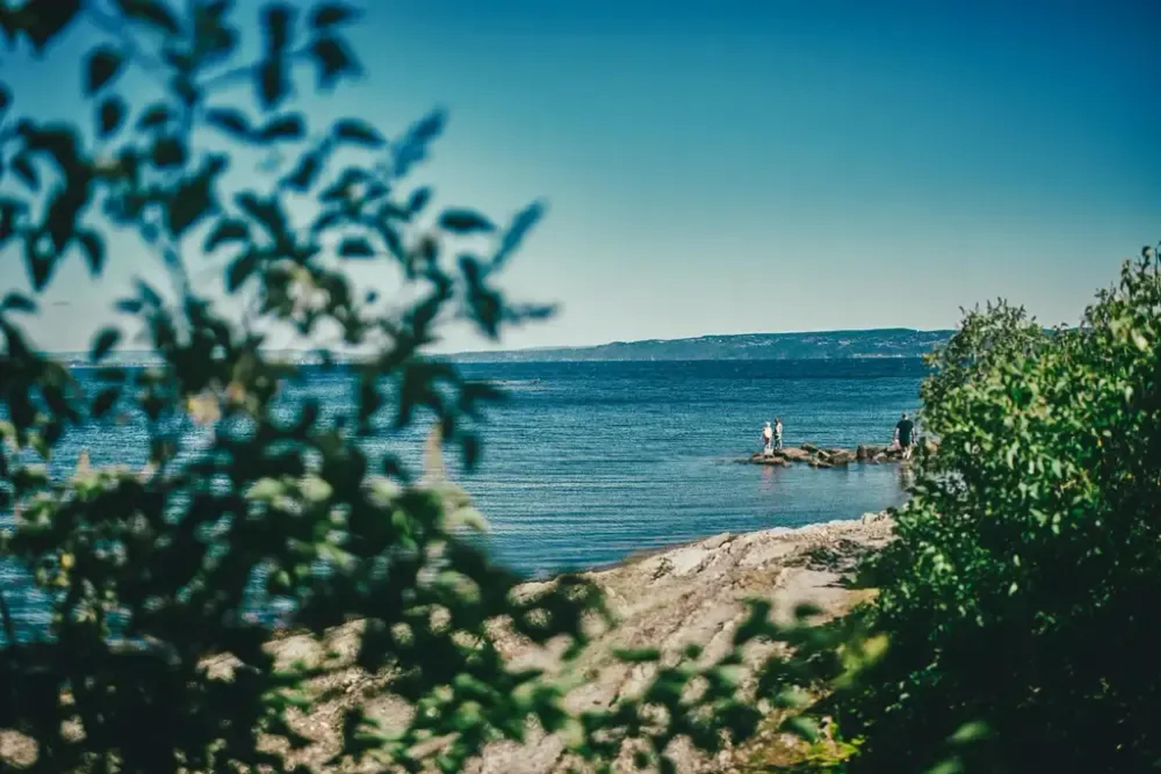 Sommer på Oslofjordmuseet