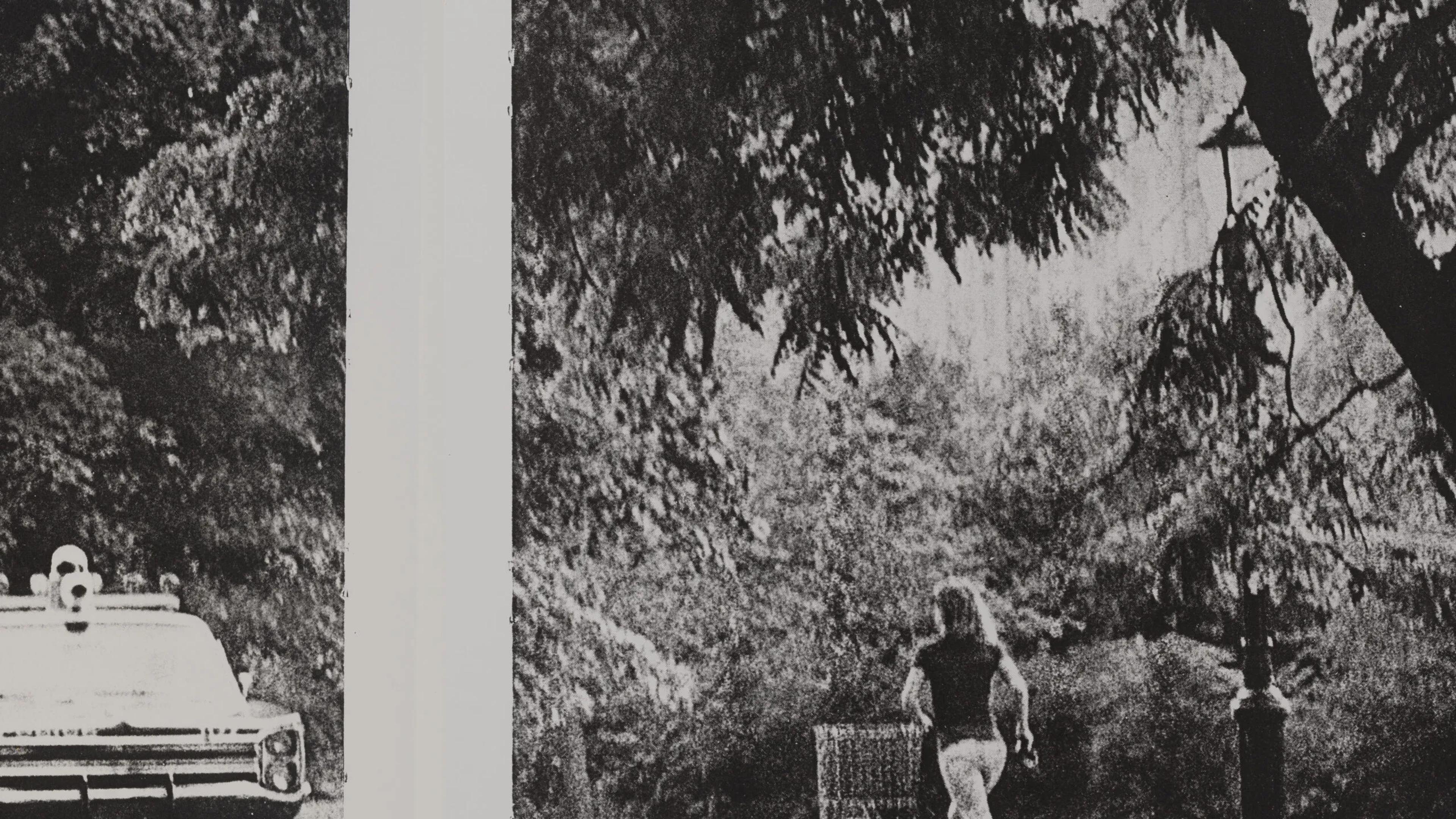 Lutz Bacher: Burning the Days