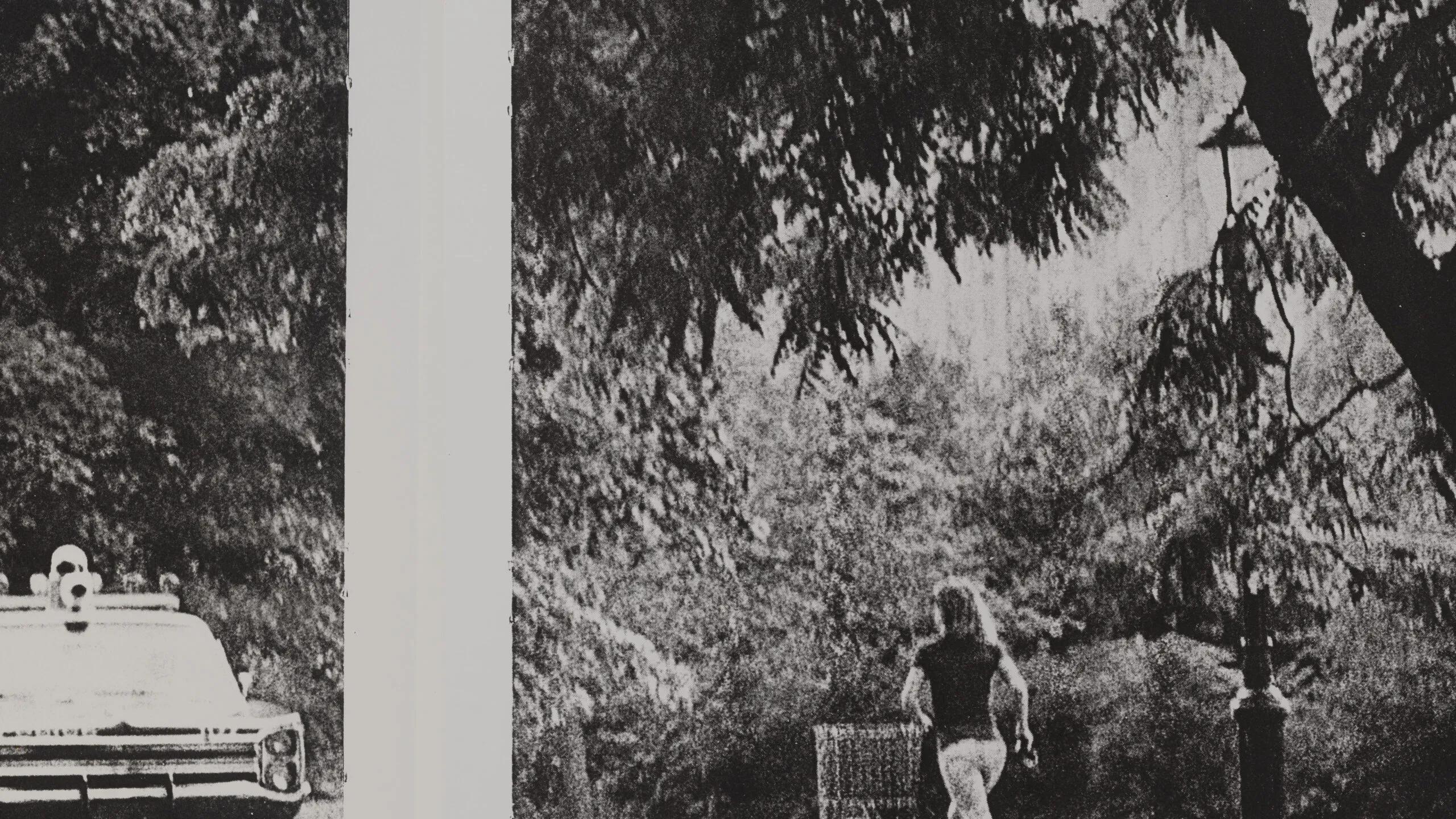 Lutz Bacher: Burning the Days