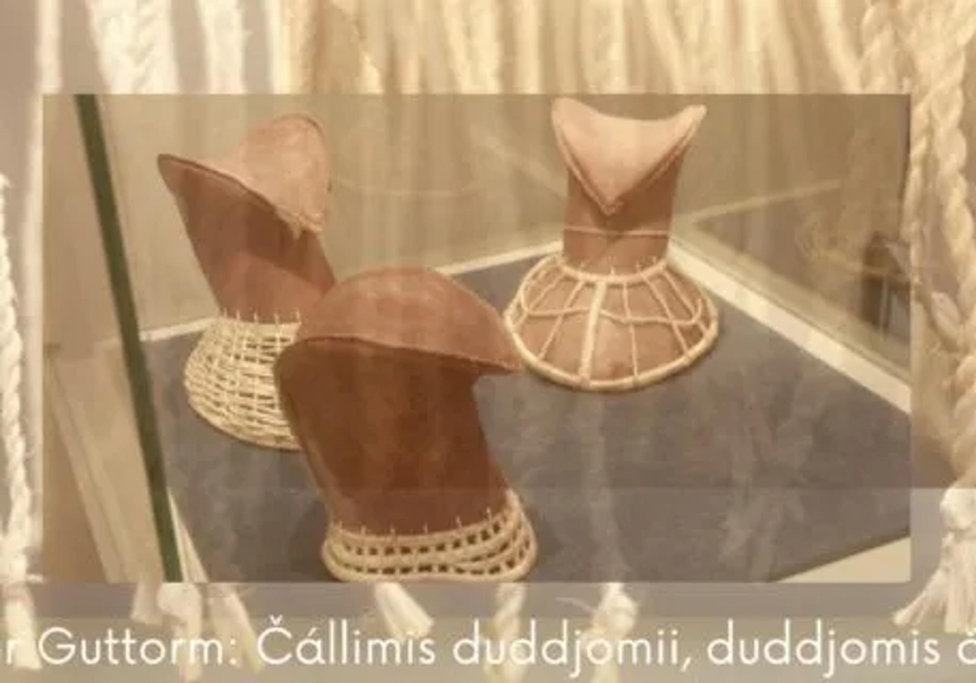 Čállimis duddjomii, duddjomis čállimii