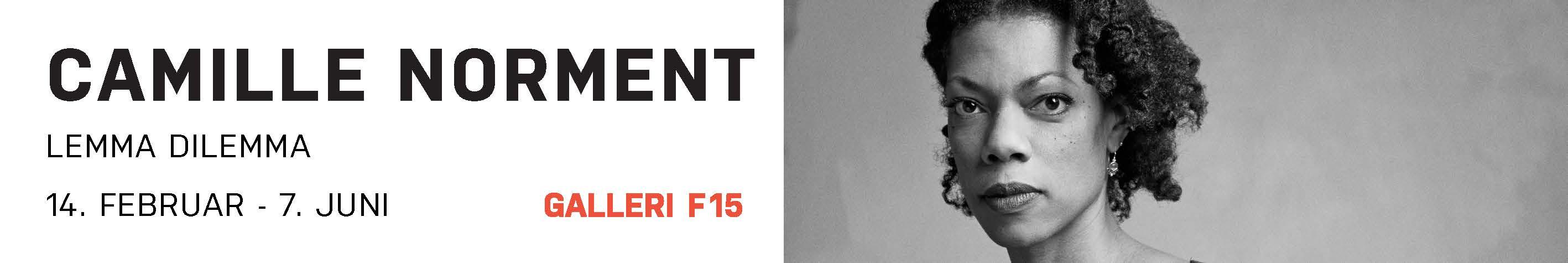Camille Norment