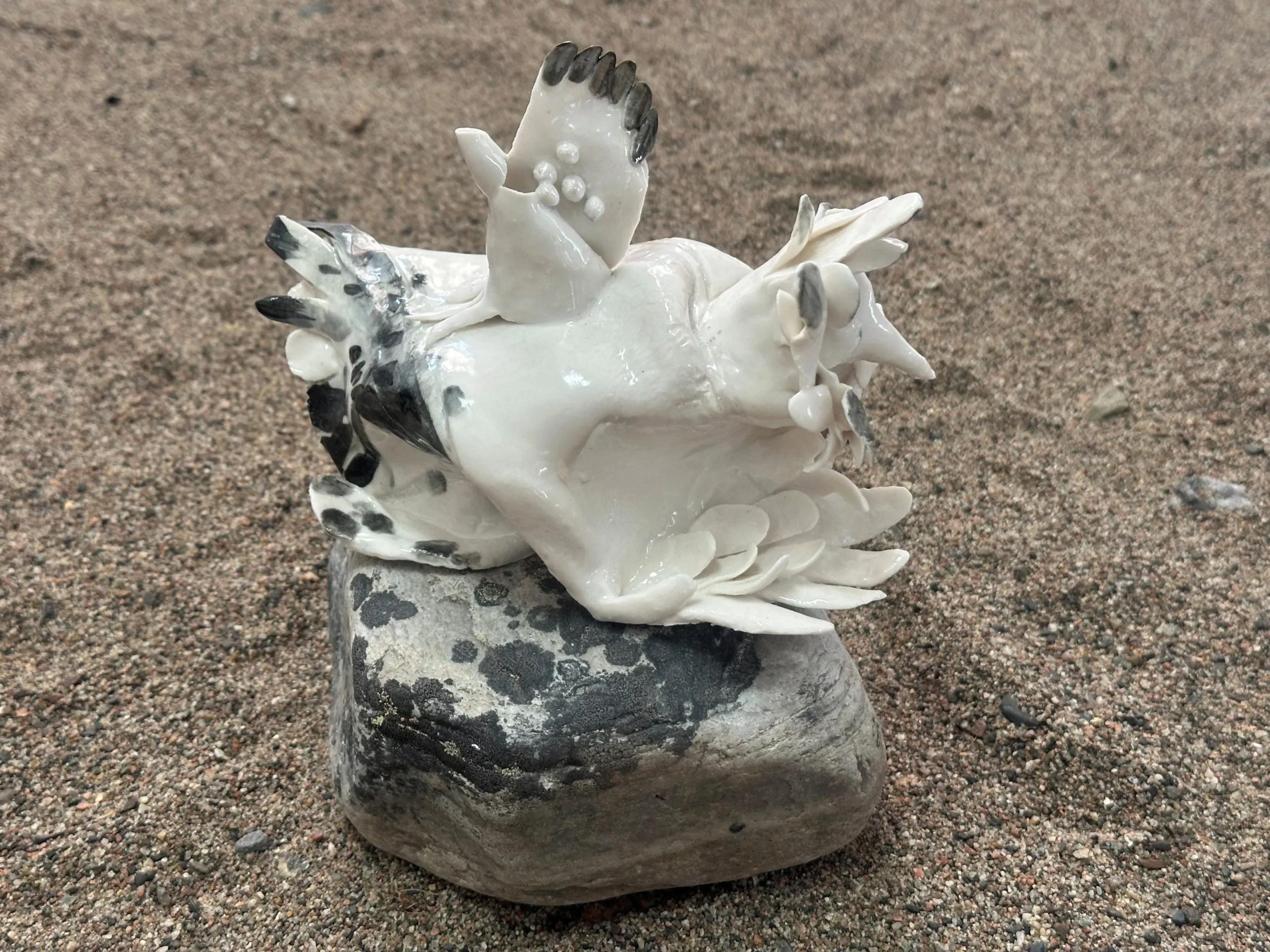 Päivi Laakso: Jeg finner mitt opphav på havets bunn