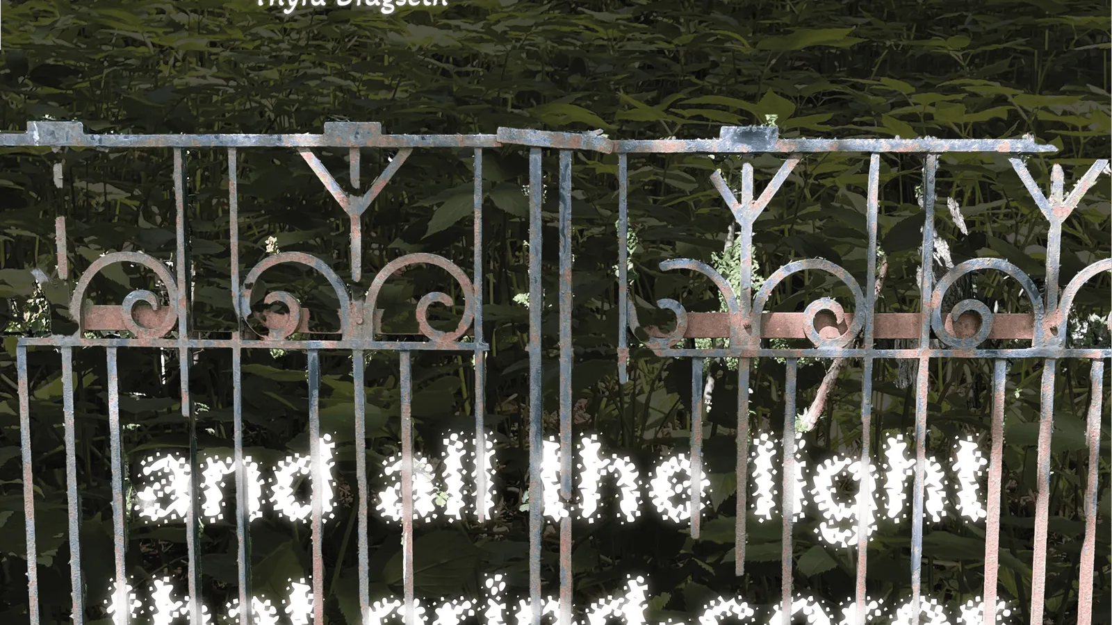 Vernissage: And all the light that grind-cores curated by Hedda Grevle