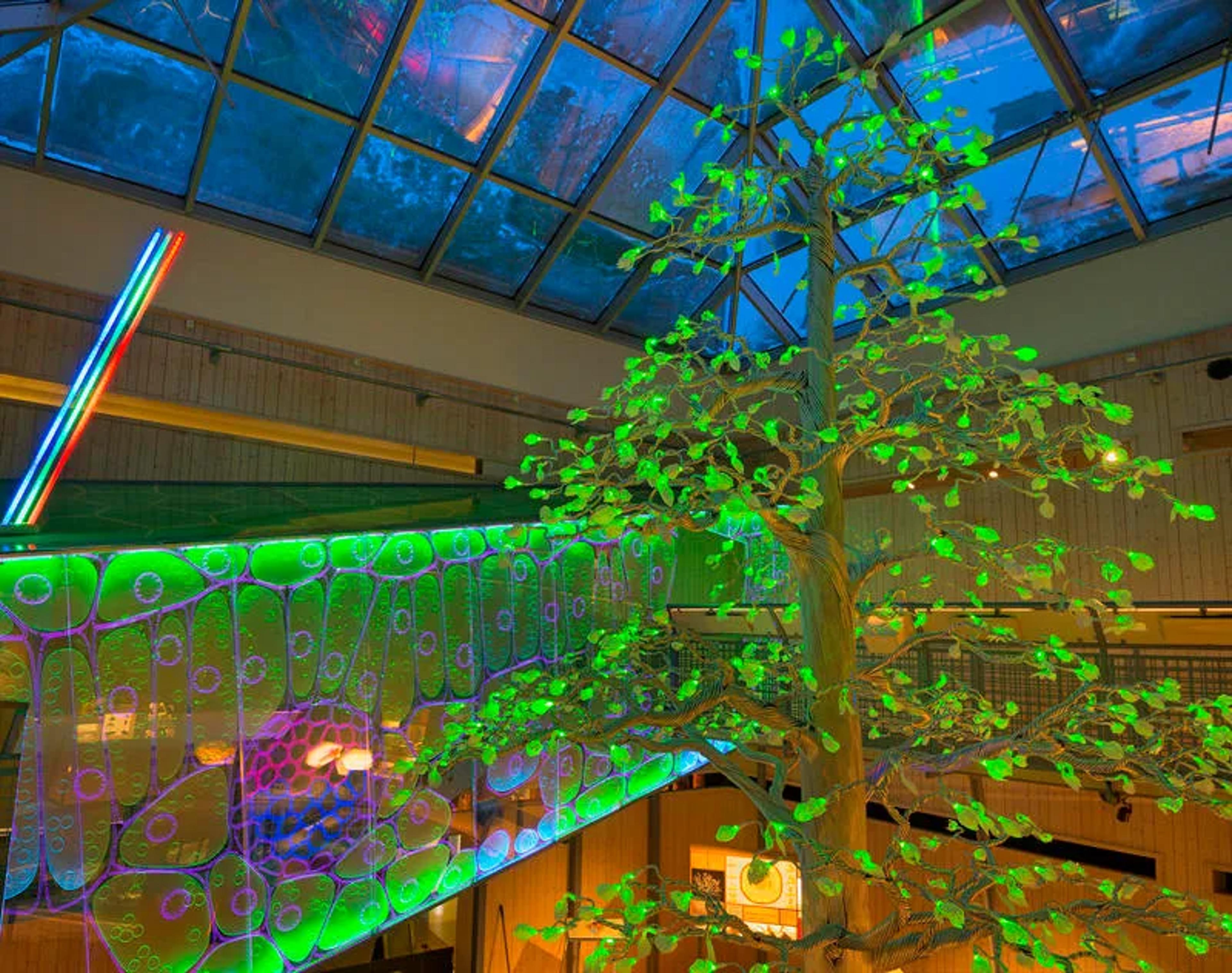 Det fantastiske treet