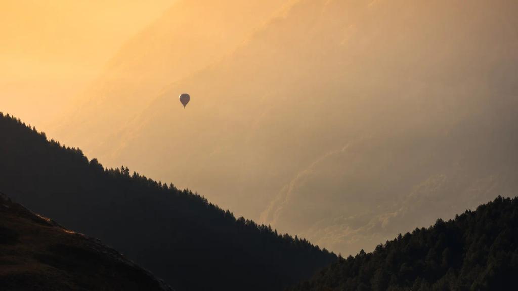 Reaction Formation