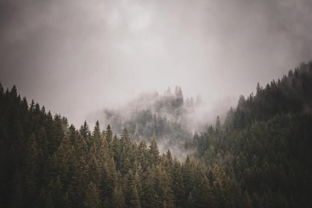 Gratitude as Emotional Bypassing