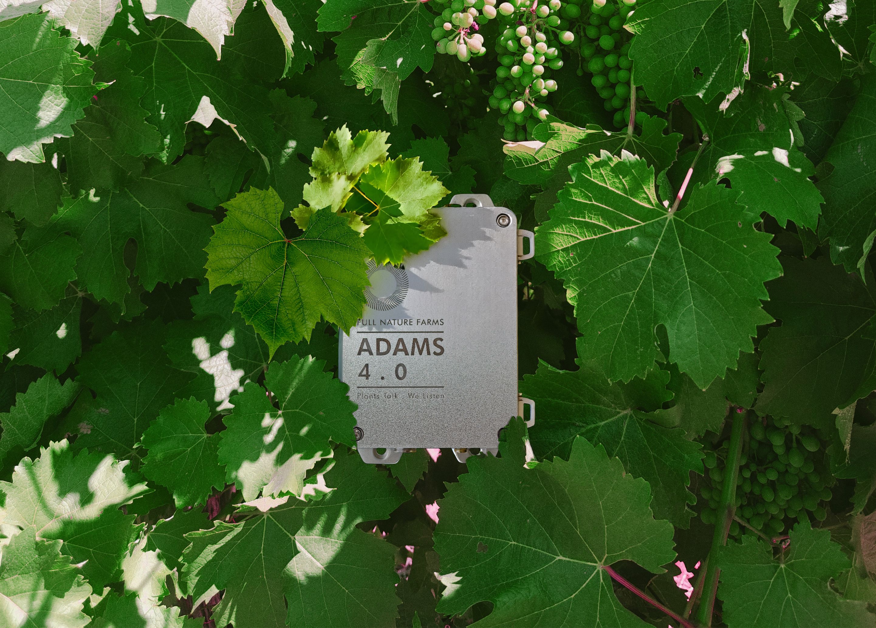 AI-driven Agriculture Campaign