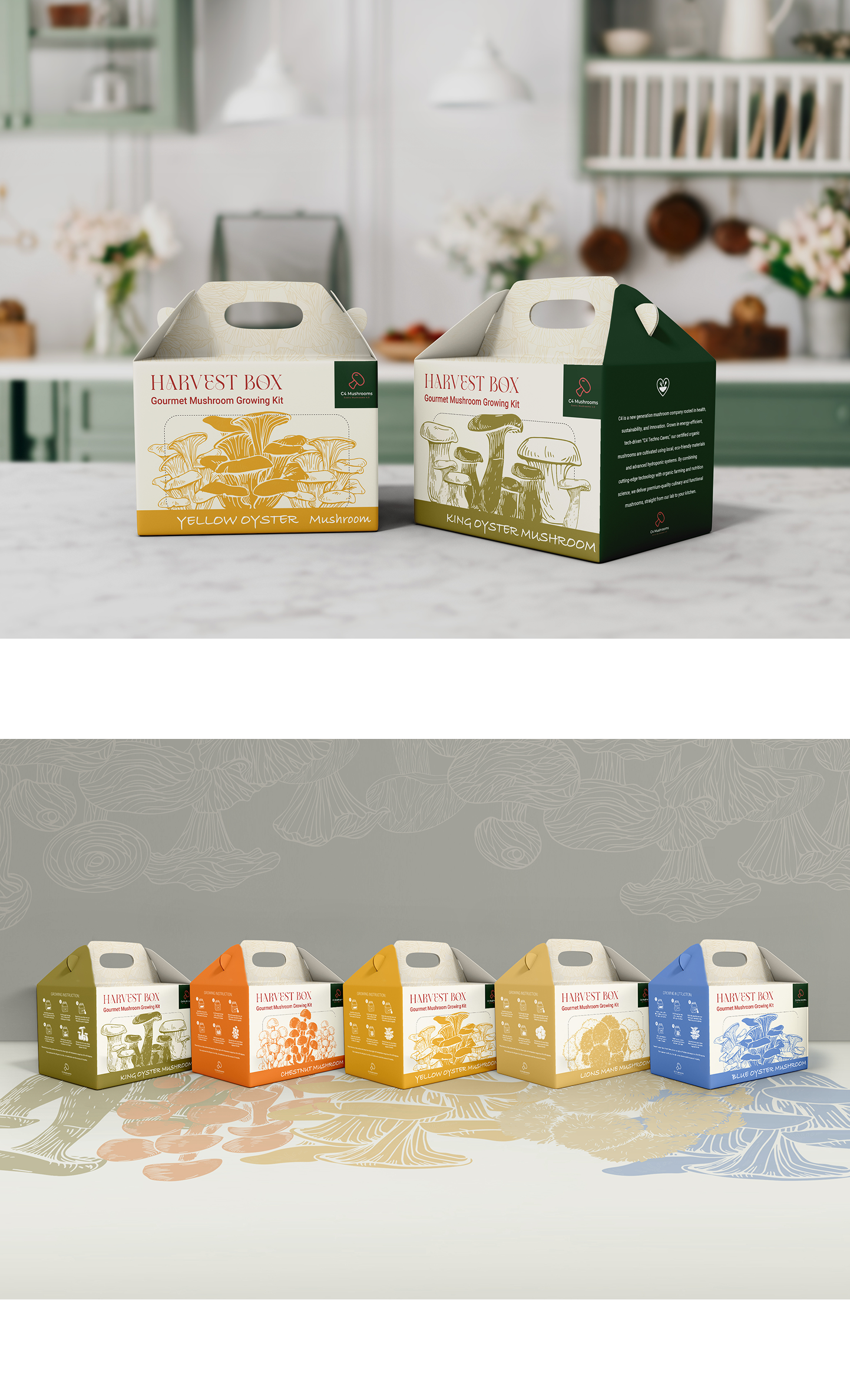 C4 package design 01