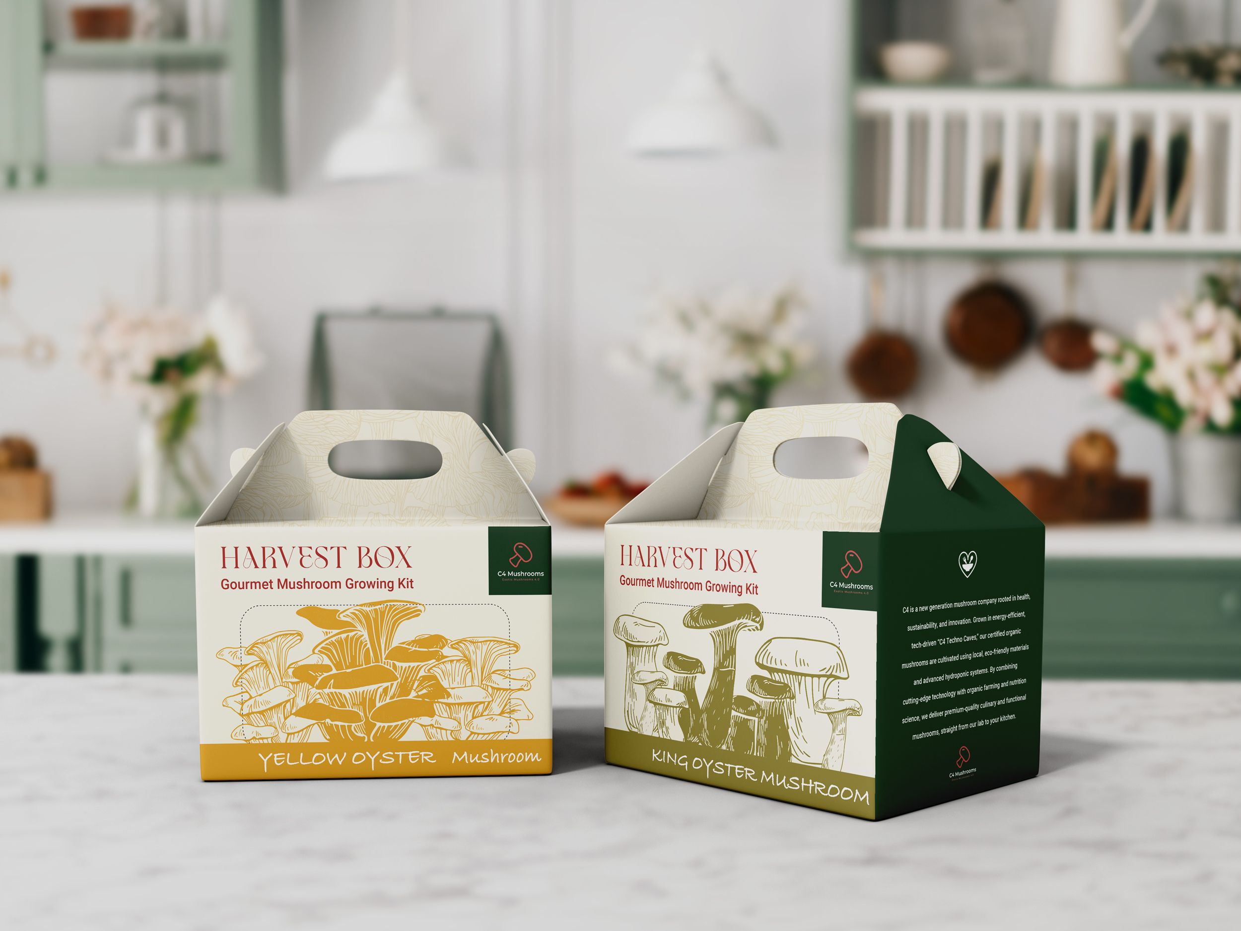 Harvest Box Packaging Design