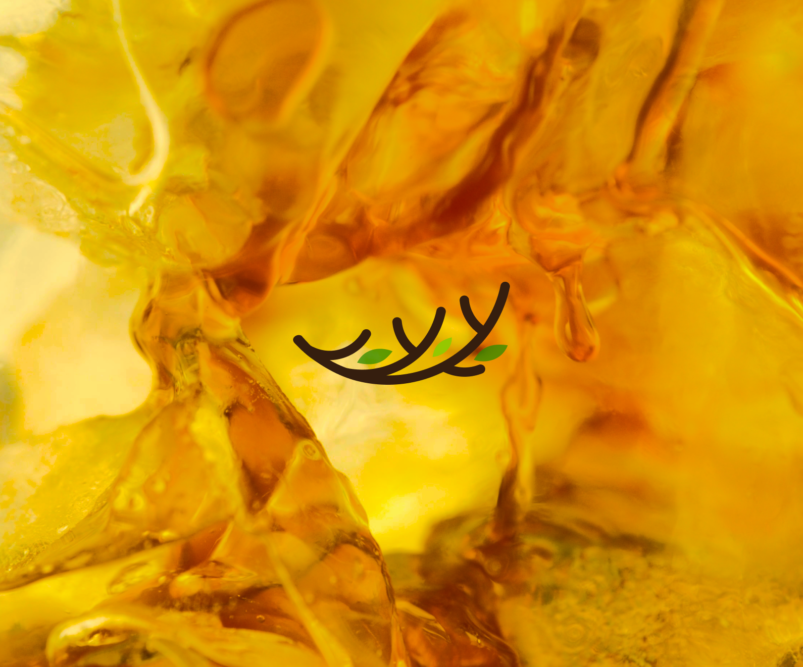 Brand Design & Development, Deersheep Coffee