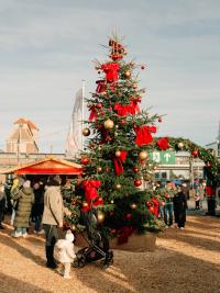 Weihnachtsbaum auf dem Areal Böhler Weihnachtszauber