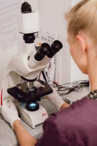 Untersuchung einer Probe