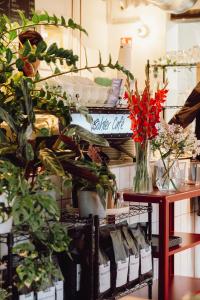 Kaffeemaschine mit Pflanzen davor