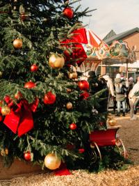 Weihnachtsbaum auf dem Areal Böhler