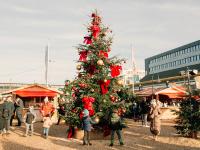 Geschmückter Tannenbaum inmitten des Weihnachtszaubers