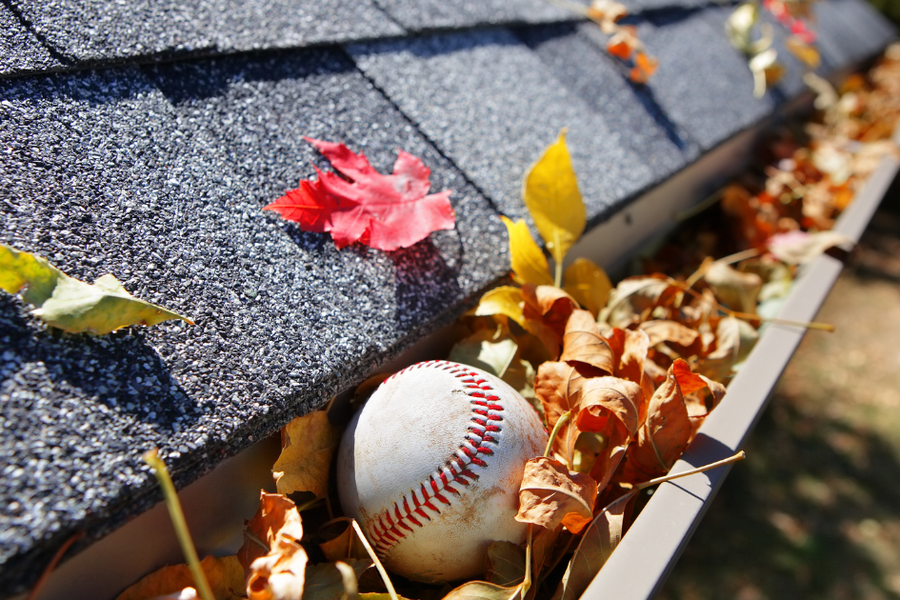 Rain gutter along a gray shingled roof clogged with dried autumn leaves and a weathered baseball, with colorful fall foliage scattered across the shingles.