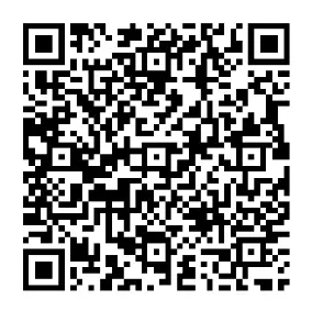 ShalomEmpire Pix QRCode