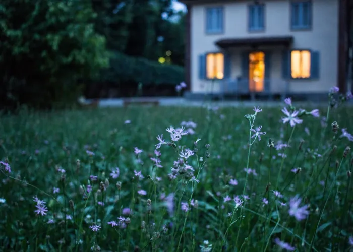 Vad ingår i en hemförsäkring?