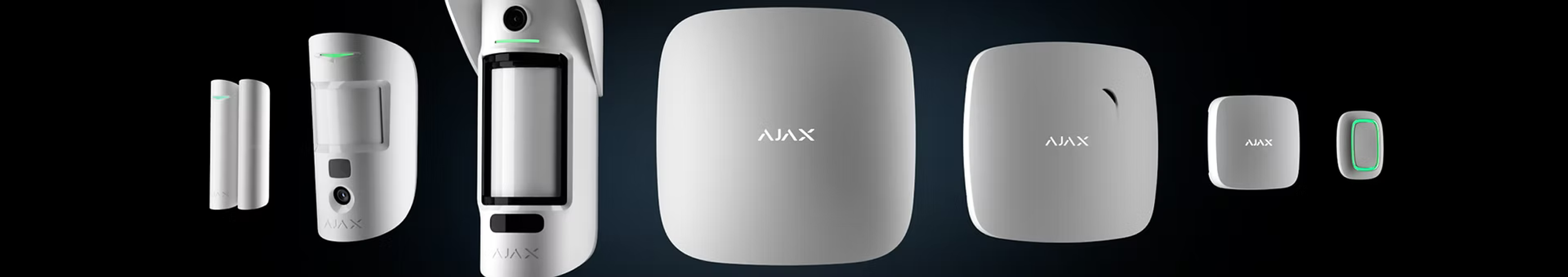 Intruder Alarms and Monitoring