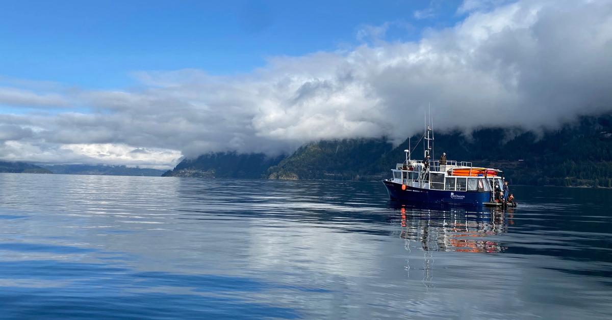 Snorkeling & Scuba Diving Destination Vancouver