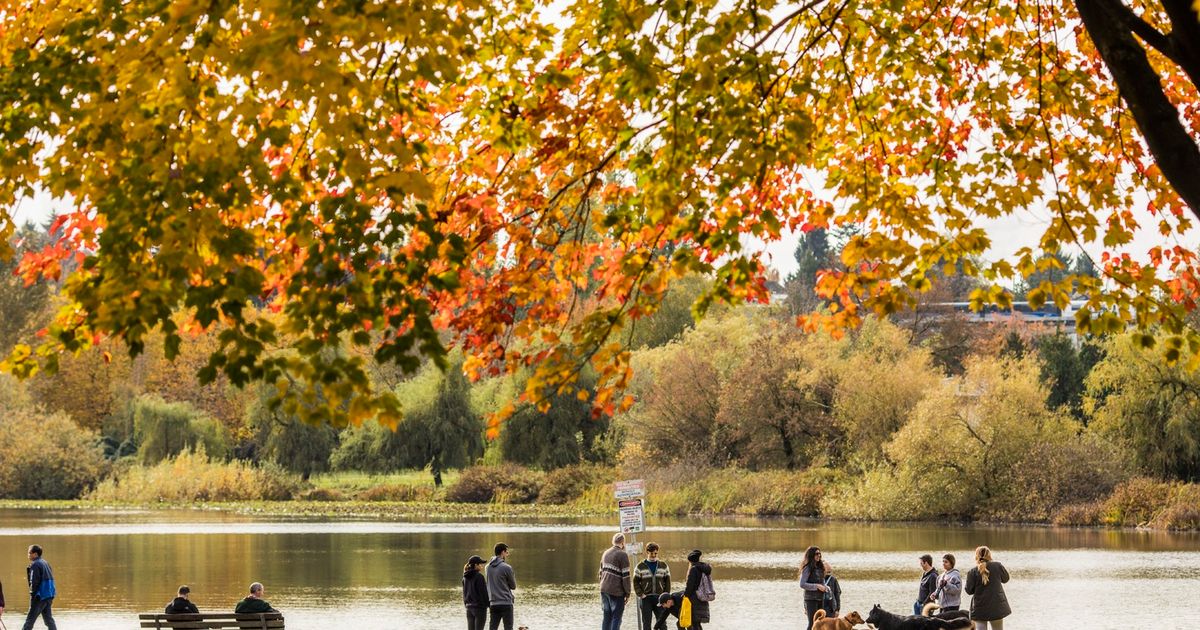 Best Places to See Fall Colours around Vancouver Destination Vancouver