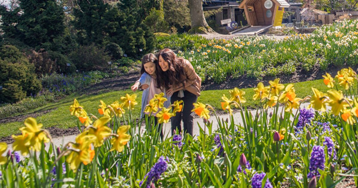 14 FamilyFriendly Outdoor Activities To Do Around Vancouver During