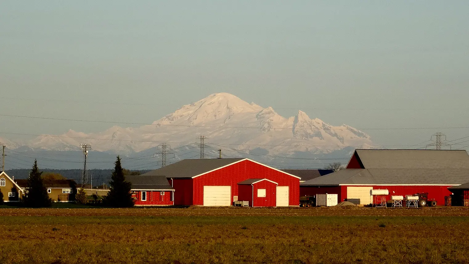Delta