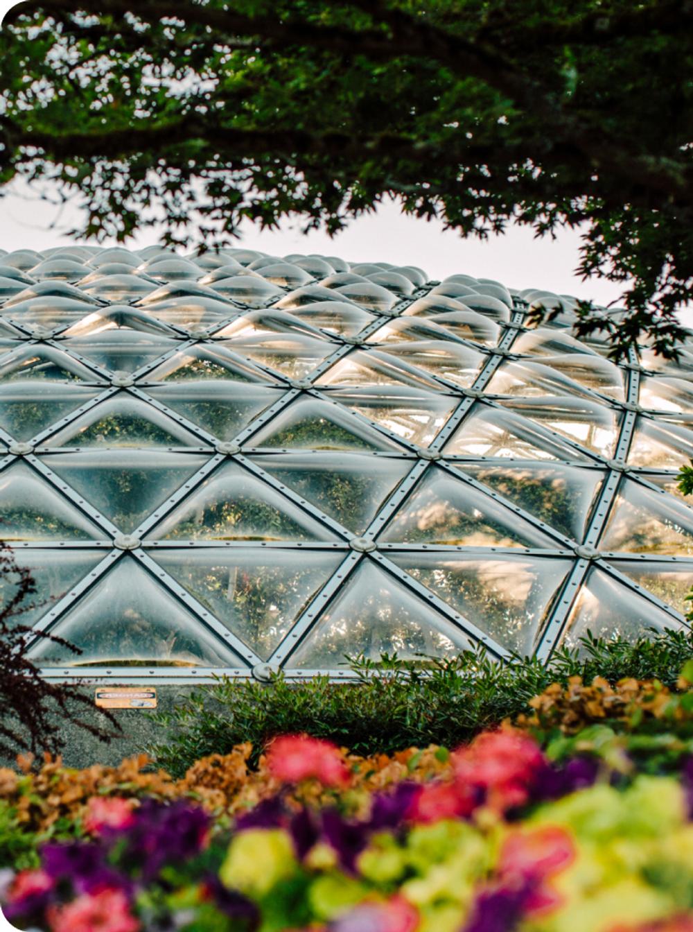 Bloedel Conservatory