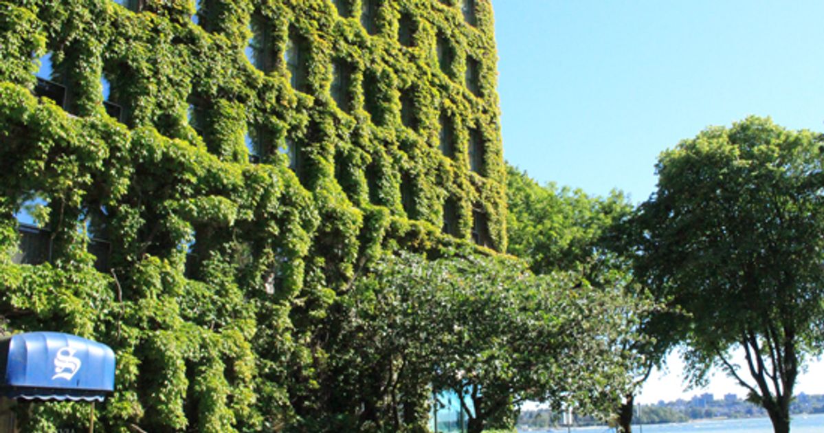 Living Walls – Vancouver’s Vertical Gardens | Destination Vancouver